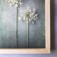 Foraged Gallery Wall - 5x Art prints, set 4