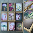 Petite Proteas - 9x A5 Art prints