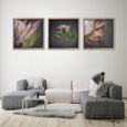 King on Gray - 3x Square Art prints