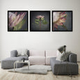 King on Gray - 3x Square Art prints