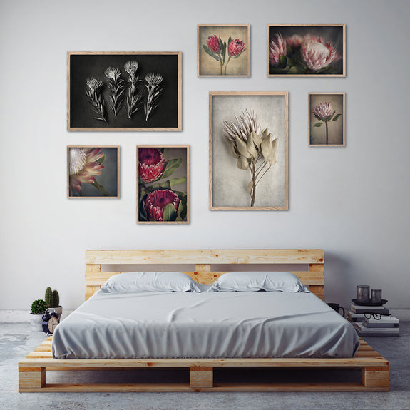 Mixed Protea Gallery Wall - 7x Art prints