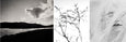 Monochrome Gallery Wall - 6x Art prints