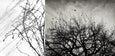 Monochrome Gallery Wall - 6x Art prints