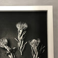 Monochrome Pins - 3x Art Prints, mixed sizes