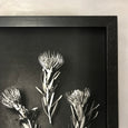 Monochrome Pins - 3x Art Prints, mixed sizes
