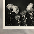 Monochrome Pins - 2x Large Art prints, set 1