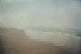 Morning Walk - 2x Large Art prints