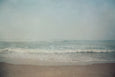 Morning Walk - 2x Large Art prints