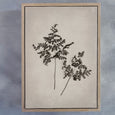 Ethereal, Mixed Gallery Wall - 5x Art prints
