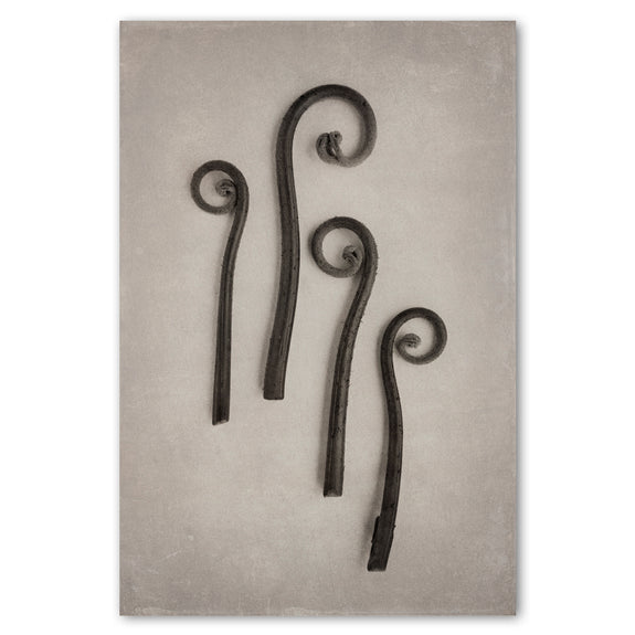 Art Forms in Nature 2