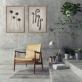 Art Forms in Nature 2