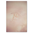 Blush Dreams 2