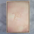 Blush Dreams 2
