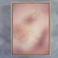 Blush Dreams 3