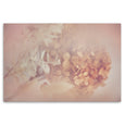 Blush Dreams 6