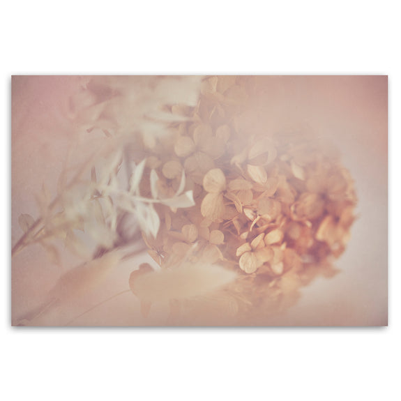 Blush Dreams 6