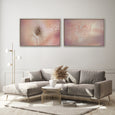 Blush Dreams 8
