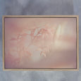 Blush Dreams 8
