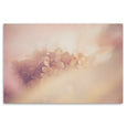Blush Dreams 9