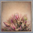 Blushing Brides Square 2