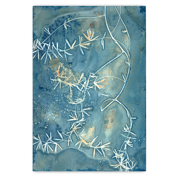 Botany Blue 11