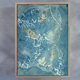 Botany Blue 11