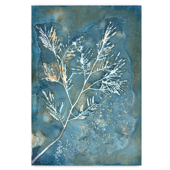 Botany Blue 14