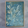 Botany Blue 14