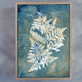 Botany Blue - 3x A2 Art prints