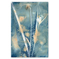 Botany Blue 4
