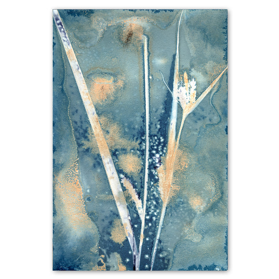 Botany Blue 4