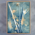 Botany Blue 4