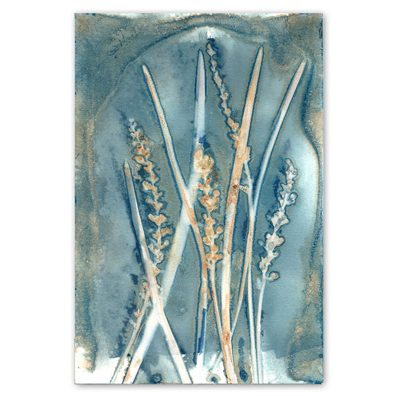 Botany Blue 5
