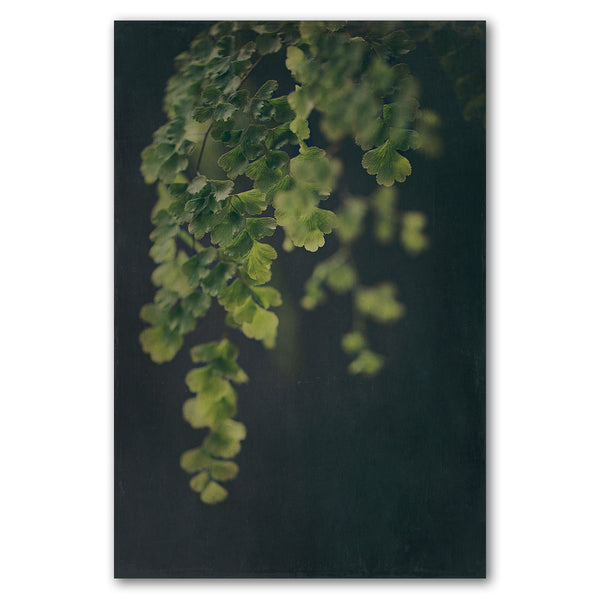 Dark Foliage 1 - 1x A4 Art Print, Unframed - ON SALE