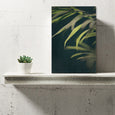 Dark Foliage 2