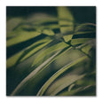 Dark Foliage Square 2