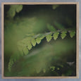 Dark Foliage Square 3