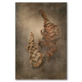 Earthy Ferns 3