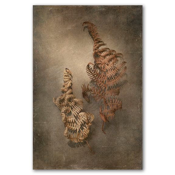 Earthy Ferns 3