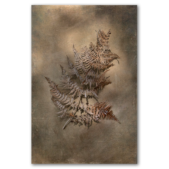 Earthy Ferns 4