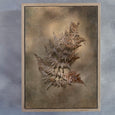 Earthy Ferns 4