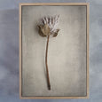 Everlasting - 3x A2 Art prints