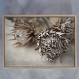 Earthy, Mixed Gallery Wall - 7x Art prints