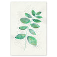 Flourish - 3x A2 Art Prints, set 2
