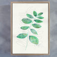 Flourish - 3x A2 Art Prints, set 2