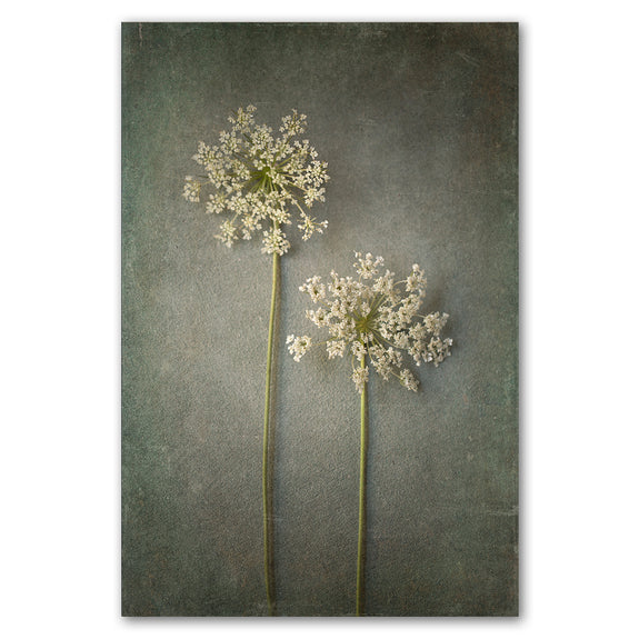 Foraged 1