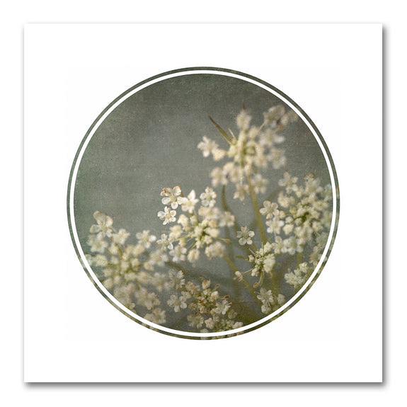 Foraged Texture Rounds 3
