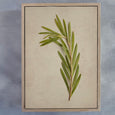 Fynbos Garden Gallery Wall - 7x Art prints, set 2