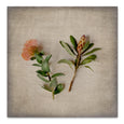Fynbos on Linen 11