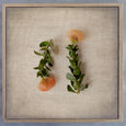 Fynbos on Linen 1